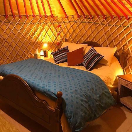 Mcclure Yurt At Carrigeen Glamping 킬케니 외부 사진